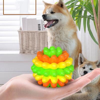 China Chew Dog Toy Pet Toys TPR Succulent Dog Biting Tooth Grinding Tooth Cleansing Pet multifunctional toy fun ball for sale