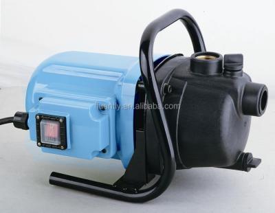 China Garden And House High Delivery Garden Suction Irrigation Pump With Filter System for sale