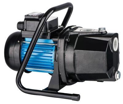 China Garden And House Cast Iron Head Garden Surface Pump For Home Irrigation for sale