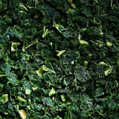 China Healthy Food factory direct sales frozen kale wholesale export frozen kale for sale
