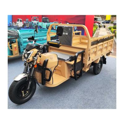 Chine 4.00-12 Taille du pneu 1000W Tricycle électrique avec grande roue et certification CEE à vendre