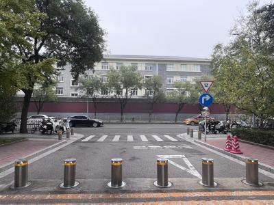 China Control remoto intensivo Bollardos ascendentes automáticos con unidad de calefacción opcional Diseño de última generación en venta
