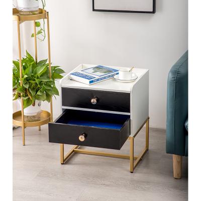 China Nordic Fashion Adjustable Modern Cabinet Bedside Table (Waist) Bedroom Night Stand Table With 2 Drawers for sale