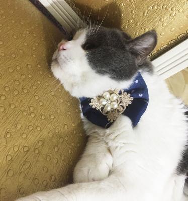 China Ribbon Beads Designer Cat Collars , Fancy Cat Collars Customized Color Easy Scrub for sale