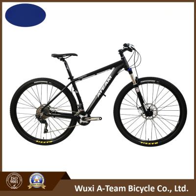China 29er Deore 20 velocidad bicicleta de montaña (MTB13) en venta