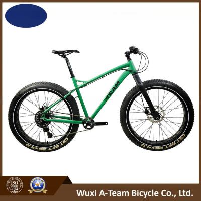 China Sram Nx 1*11 Speed 26" Alloy Snow Mountain Bike en venta