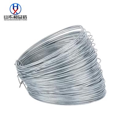 Cina Fencing 14# 14 Gauge Galvanized Wire 2mm Coil in vendita