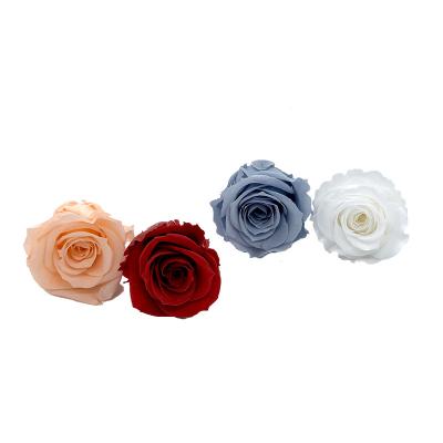 China Rose Buds China Yunnan Factory Natural Supply Eternal Roses Flower Mini Preserved Rose Lasting Real Sample Fast Dispatch Available for sale