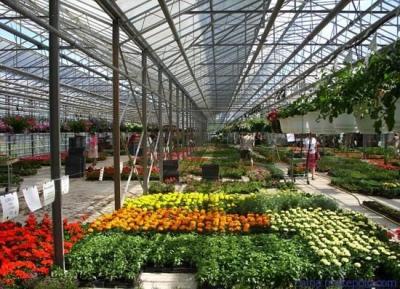 China Modern Multi Span Greenhouse Accessories Rust Resisting For Teaching / Scientific Research for sale