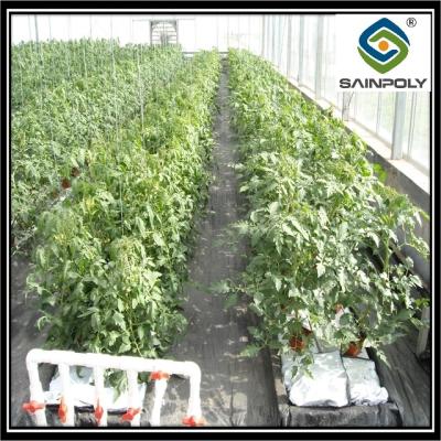 China Estufa alta do filme de polietileno da elasticidade para vegetais e plantas à venda