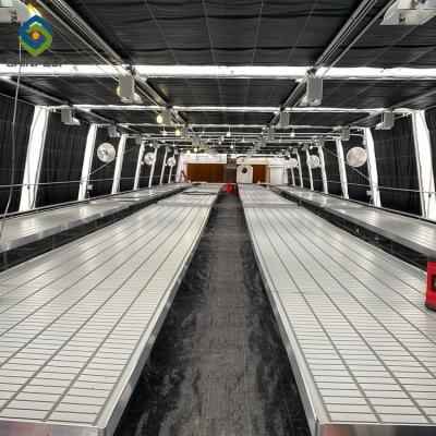 Chine 30m Dep Agricultural Plastic Blackout Greenhouse léger à vendre