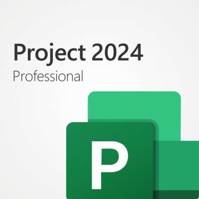 China Project 2024 Professional De ultieme projectmanagementsoftware voor organisaties Te koop