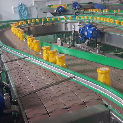 Cina Convogliere a catena per la linea di imballaggio per l'industria in vendita