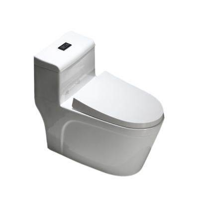 China Concealed High Quality Floor Standing Integrated Siphon Type Cistern Flushing WC Body Ceramic Toilet for sale
