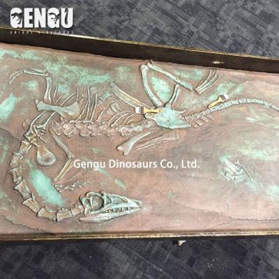 China Dinosaur Science Caudipteryx Reproduction Exhibition Buried Fossil Dinosaur Fossil for sale