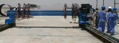 Cina Azionamento automatico del motore della tagliatrice del plasma della fiamma di CNC del cavalletto in vendita