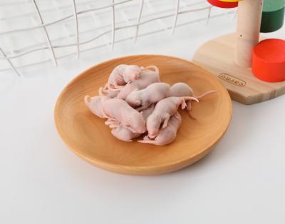 China Daren Fucheng Frozen Feeder Mice and Viable Rats for Pet Reptiles, Amphibian, Birds of Prey Available for sale