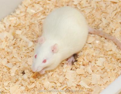 China Viable Farm Breed White Frozen Feeder Rats For Snakes Lizards And Pinkie Birds Of Prey At Jumbo Sizes for sale