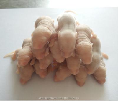 China Feeder 11-19g Scrambled Rats Frozen Viable For Snake Lizard Reptile Food for sale