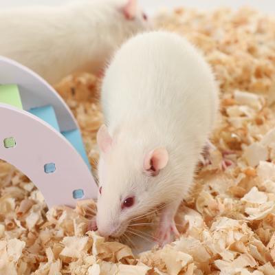 China Viable 400g+ Jumbo Frozen Rats For Snake Ball Python Reptile Food for sale