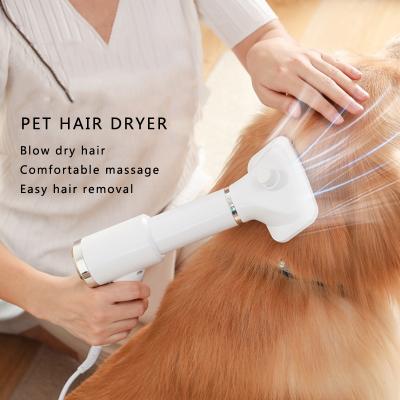 China 110V/220V Electric Pet Dog Hair Machine Dog Cat 3 Speed Hair Dryer Brush Blowing Dryer Comb Viable for sale