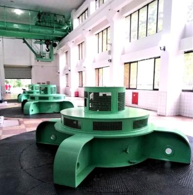 China Customizable Kaplan Hydro Turbine Generator High Frequency 1-Year for sale
