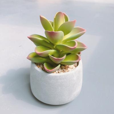 China Different Size UV Resistance Optional Wholesale Set Of Fake Cactus Succulents Artificial Cacti Plants for sale