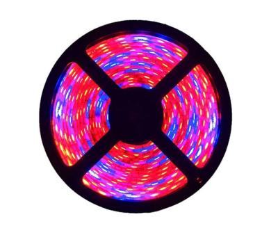 China Eco-friendly Smart 5050 Three Red, One Blue, Led RGB Strip Light Plant Growth Light Strip for sale