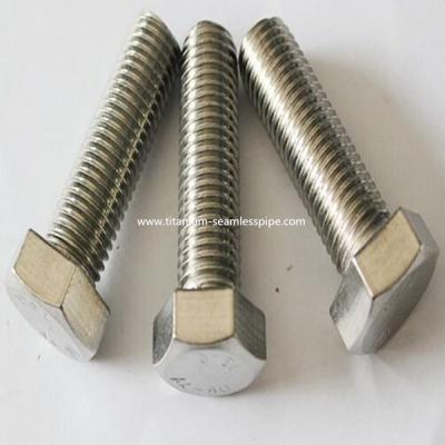China Titan Titanium metal screws ,full thread,M20 x 100 mm Hexagon socket Screw Fastener for sale