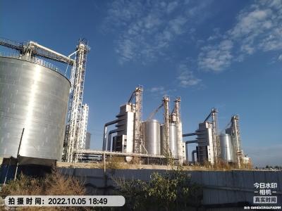 China Máquina de secagem de grãos de alta capacidade para cooperativas de grande escala e instalações de processamento à venda