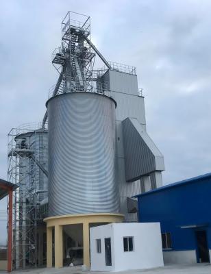 China Boost Your Harvest with Paddy Drying Equipment's Moisture Control and Drying Time Reduction for sale
