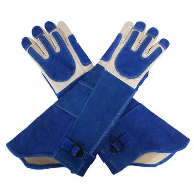 China Schutzhandschuhe gegen Bisse von Tieren Länge 55 cm Extra-Langes Design zu verkaufen