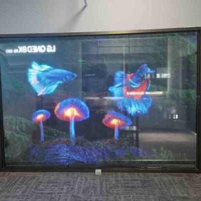Chine Affichage de film LED transparent à l'intérieur en couleur complète Écran LED transparent flexible à vendre