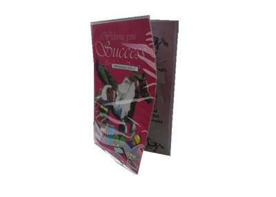 China custom 3D lenticular printing CMYK offset printing greeting card in PP plastic for sale