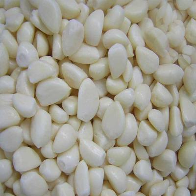 China Factory supply 100% fresh peeled garlic with high quality and best price for sale