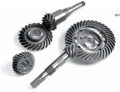 China Steel Forged 42CrMo Arc Bevel Gear Shaft Tempering , Annealing Surface OEM for sale