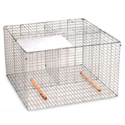 China Multi Hook Live Metal Bird Traps Cage Ebay from China Viable Supplier for sale