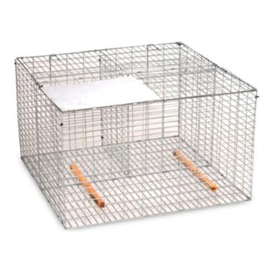 China Residential Roof Bird Spikes Viable High Quality Bird Control Anti Pigeons for sale