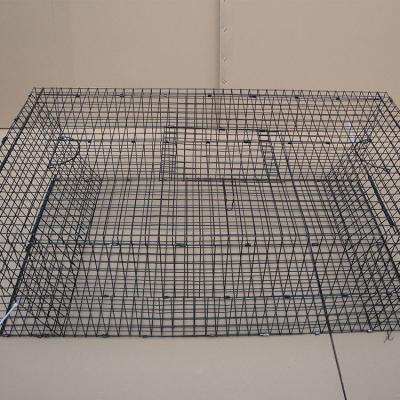 China Live Animal Catch Feral Cat Opossum Cage Live Animal Rabbit Hares Bird Rat Viable Giant for sale