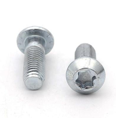 China Round Head Hexagon Round Torx Socket Screw 12*30 Slot Width 8 10 Profile Aluminum Accessories Screw for sale
