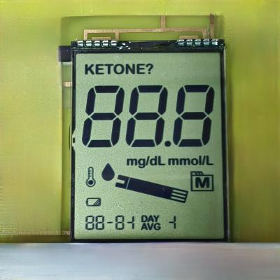 China Reflective HTN Character LCD Display, 20x4 Large Size Dot Matrix 6h Angle for sale