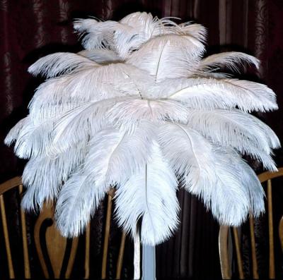 China Wedding High Quality White Ostrich Feather For Wedding Centerpieces for sale