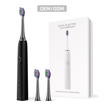 China SN302 Soft Bristle Sonic Rechargeable Reemplace Brush Head Electric Toothbrush for sale
