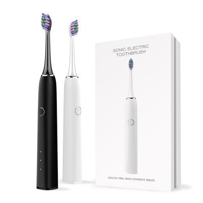 Cina TYPE-C Spazzolino Recaricabile Smart Sonic Elettronica Minimalista Sanità Orale Spazzolino SN302 in vendita