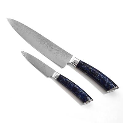 China Sustainable 4pcs Kitchen Knife Set AUS10 Stainless Steel Knives Resin Handle Kitchen Knives for sale