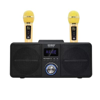 China Phone Function SD-309 Speaker 20W Power Family Wireless High Fidelity Karaok Singing Wireless Dual Chorus Dual Microphone Cartoon Gift for sale