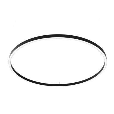 China Modern Simple Ceiling Modern Rings Surround Modern Led Pendant Light Chandelier Light For Home And Hotel for sale