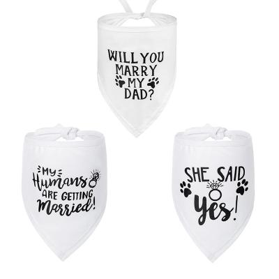 China Factory Sale Custom Wholesale Stocked Stocked Hot Dog Wedding White Collar With Bandana for sale