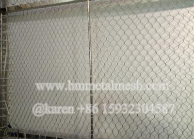 China Flexible Inox X-Tend Cable Wire Rope Mesh (Facory,CE) for sale