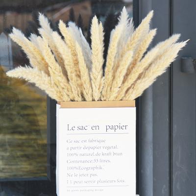 China Real new arrivals green decorative flowers environmental protection dry decorative flowers to wed small pampas grass for sale